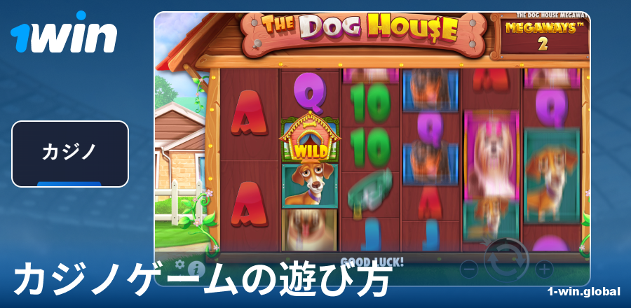 1Win JPカジノゲームの遊び方