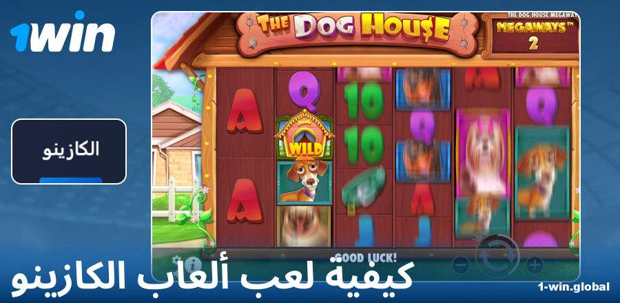 دليل اللعب في كازينو 1Win