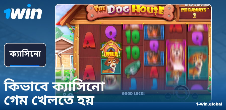 1Win BN ক্যাসিনো খেলার নির্দেশিকা
